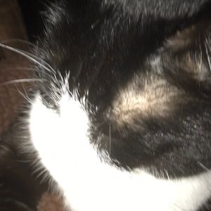 Meet your Posher, Deborah